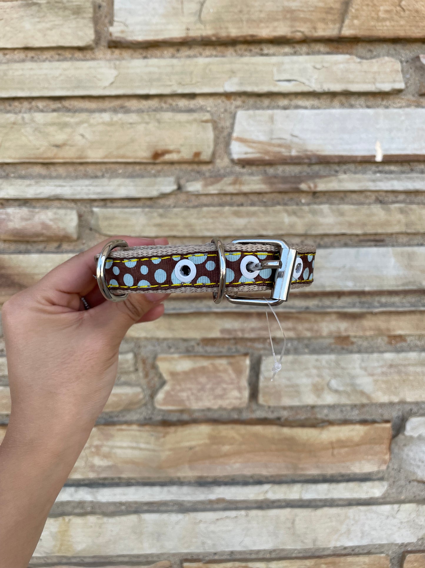 NYLON SMALL DOG COLLARS