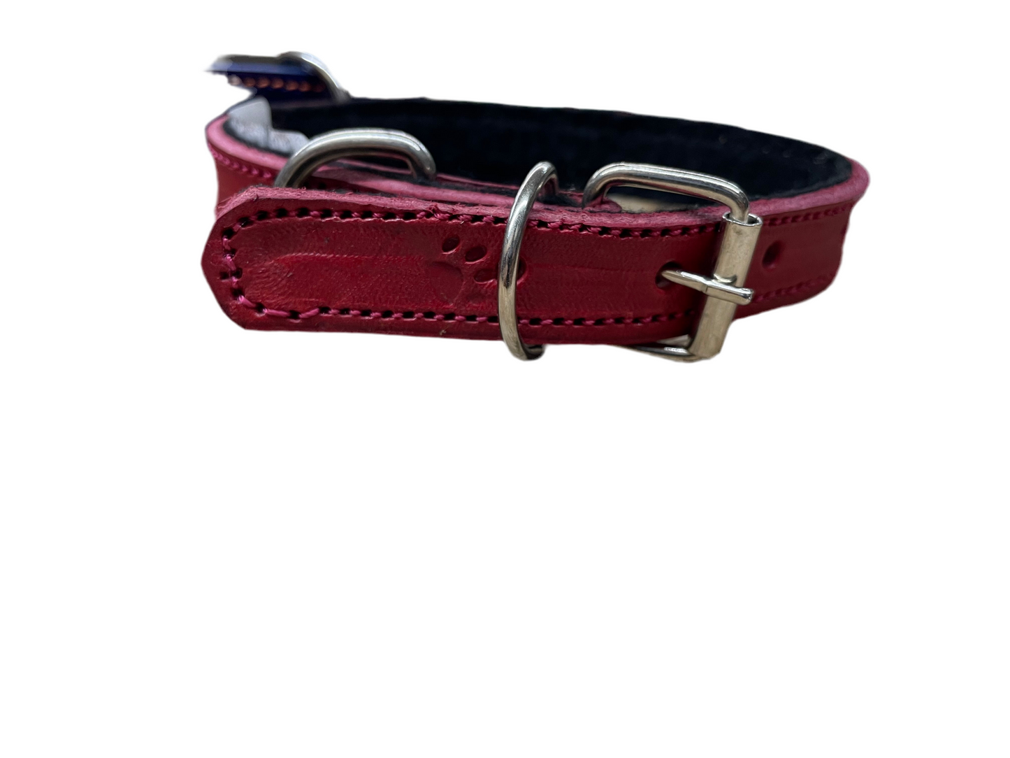 Small dog collars