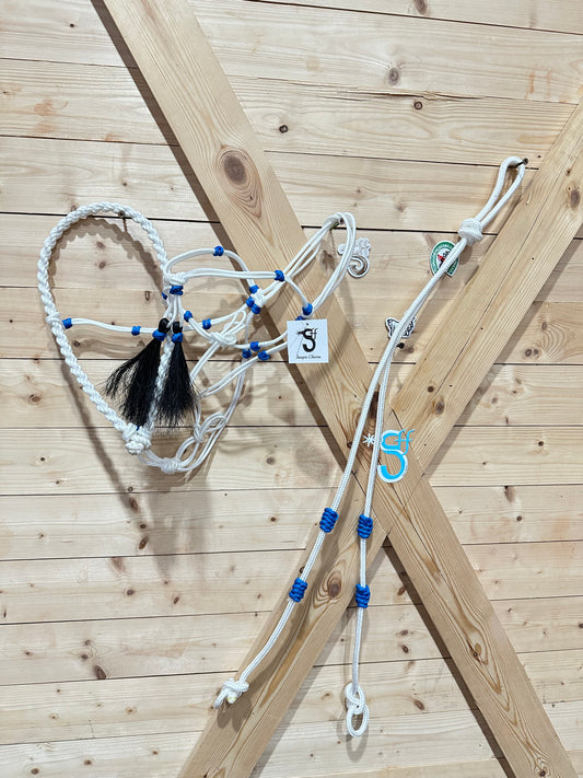 Bosal, Cabezada y Rienda de Nylon