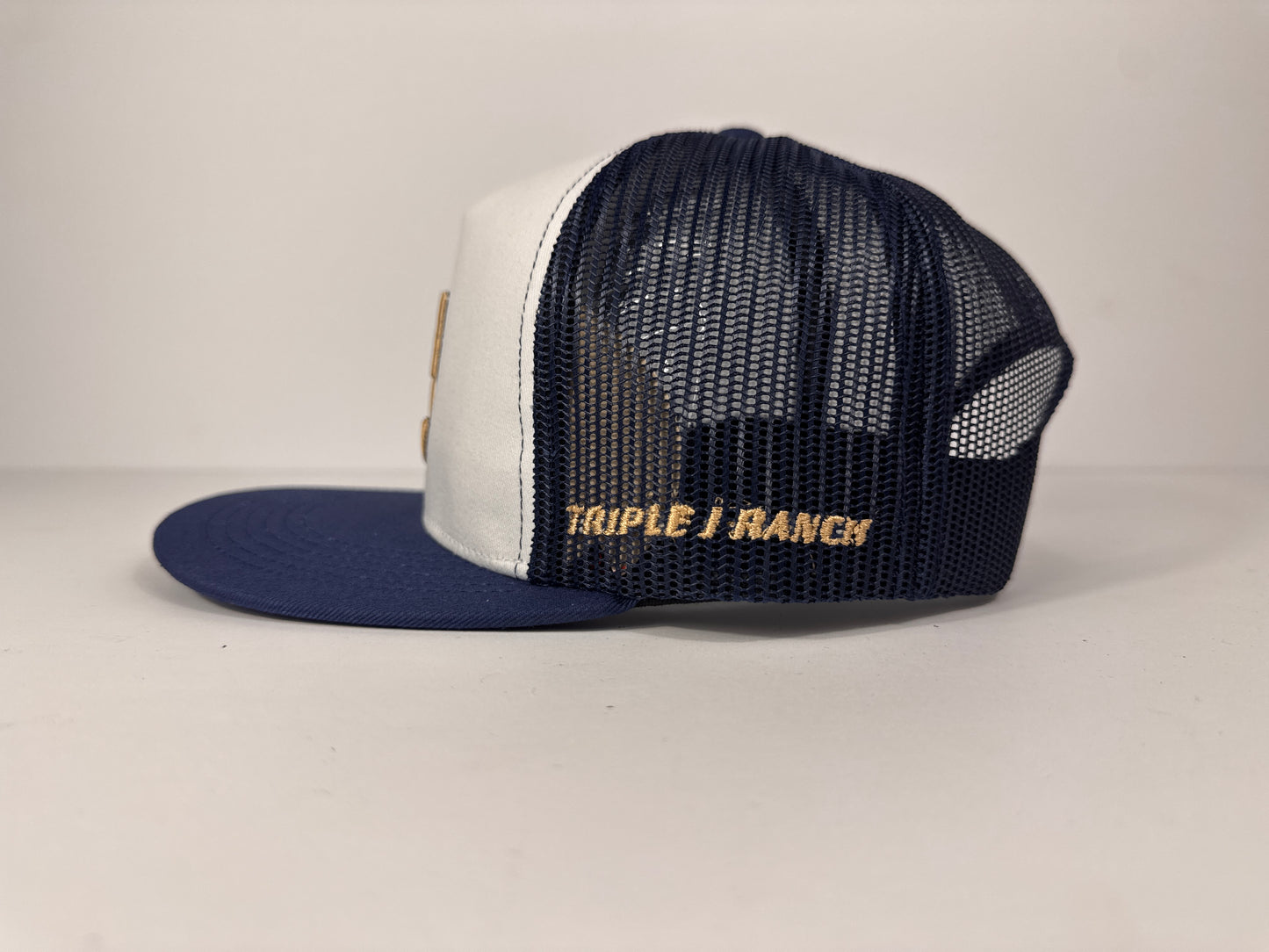 Triple J Ranch Beige Blue