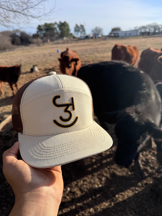 3J Triple J ranch Cap