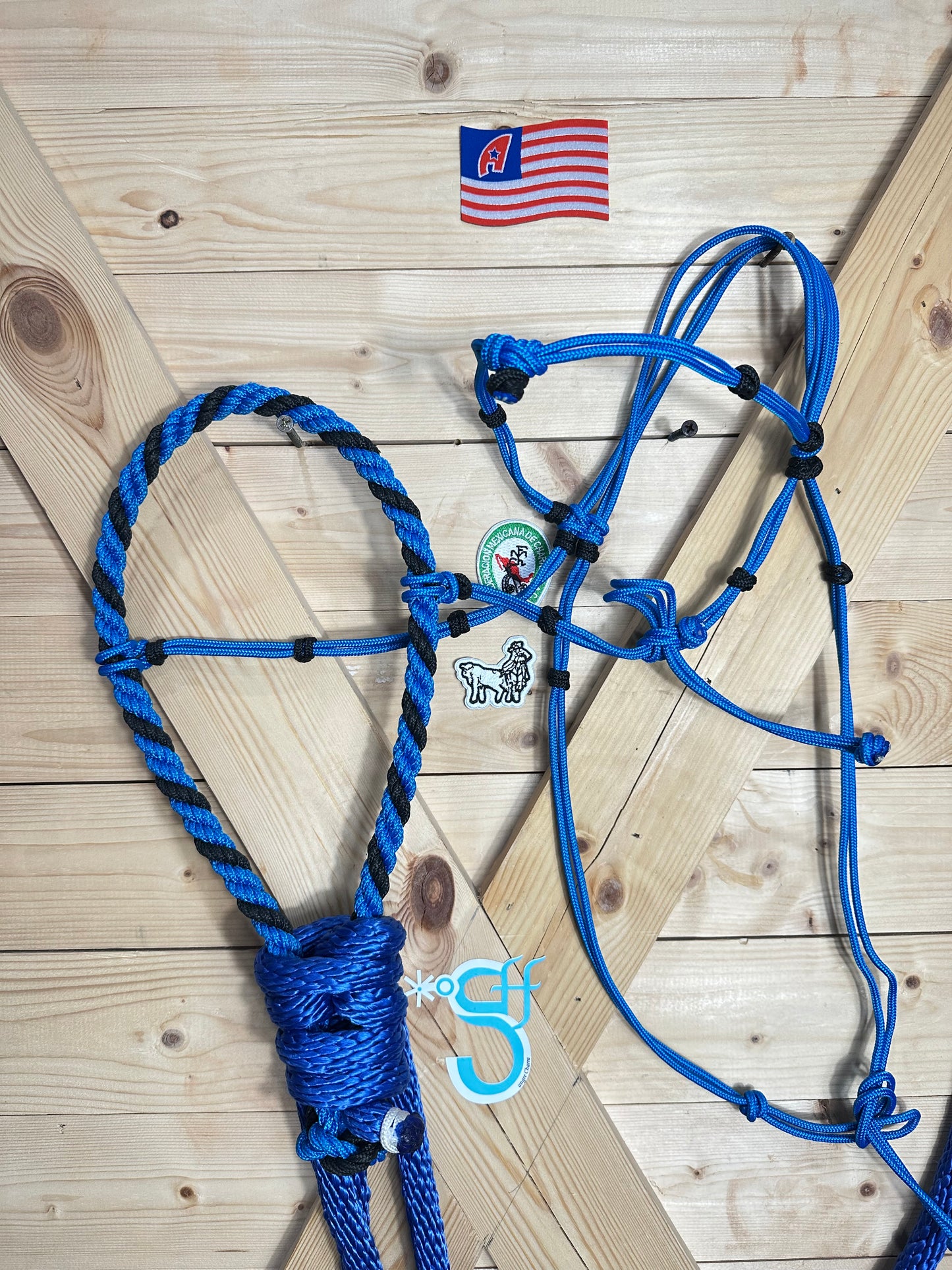 Falsa Riendas de Nylon Azul