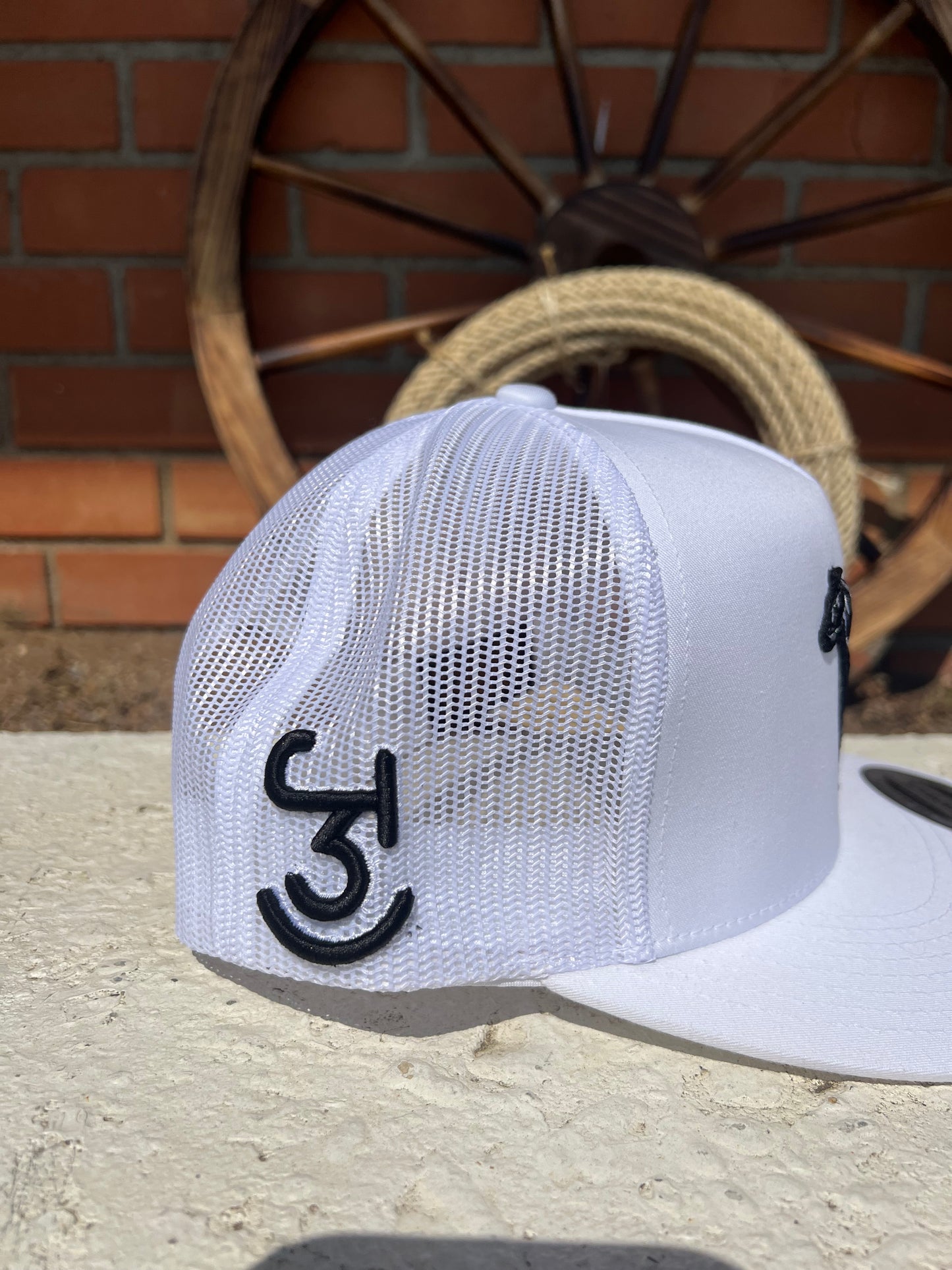 TRIPLE J RANCH CAP - The shadow horse