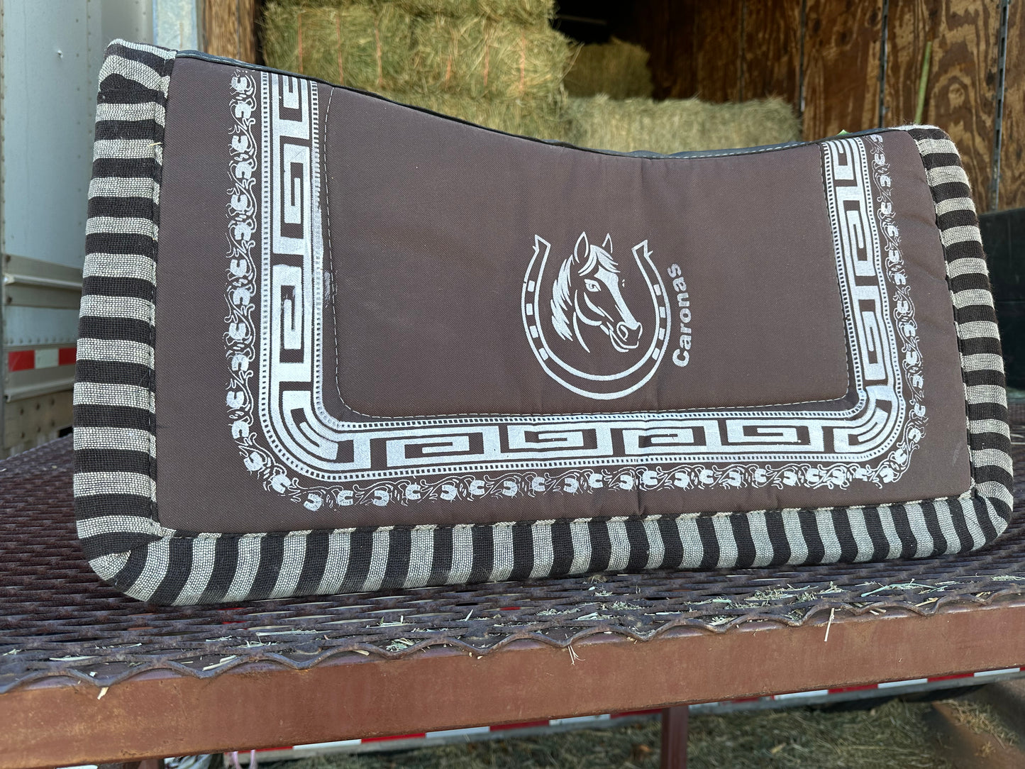 Caronas en especial!