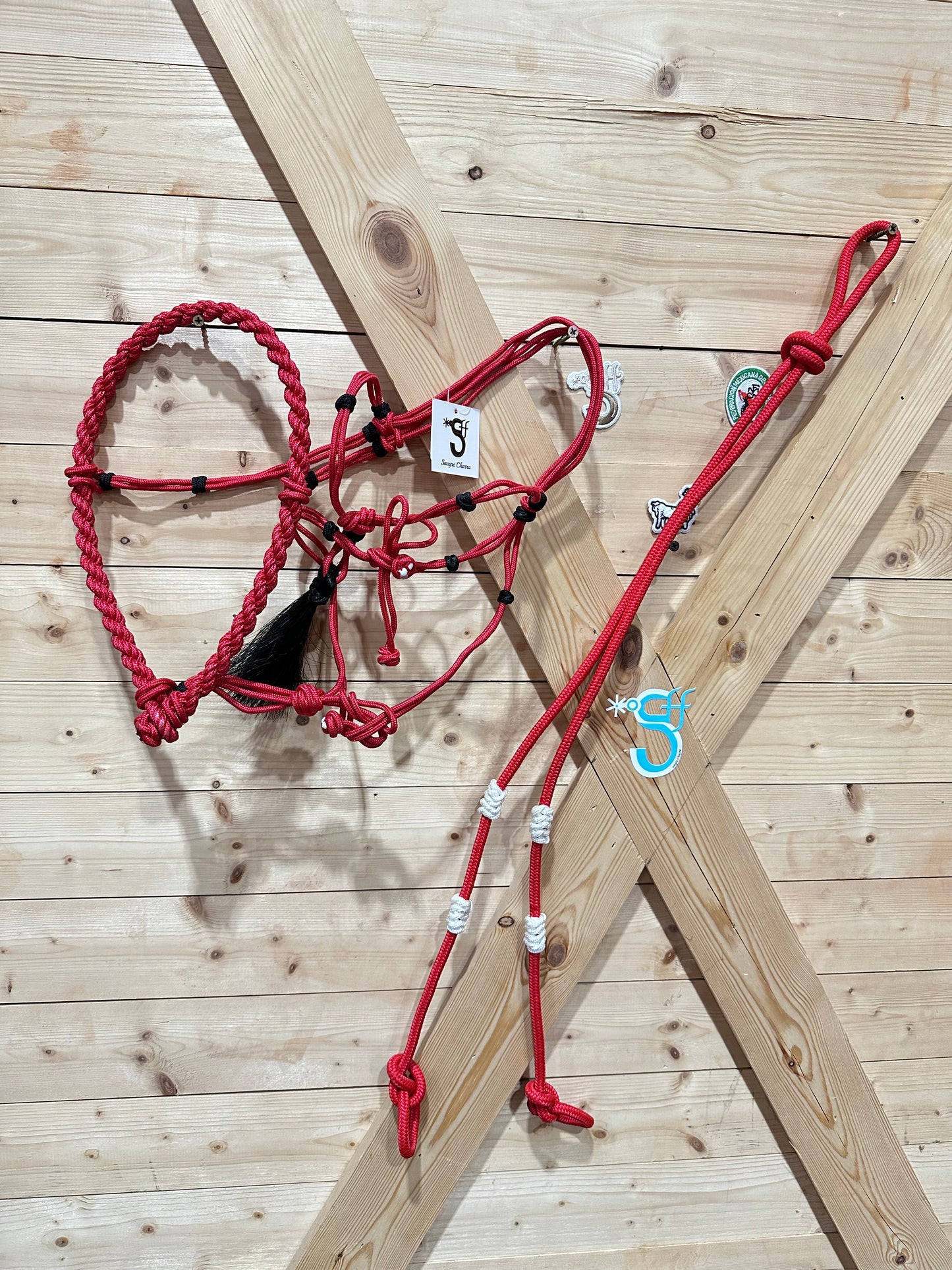 Bosal, Cabezada y Rienda de Nylon