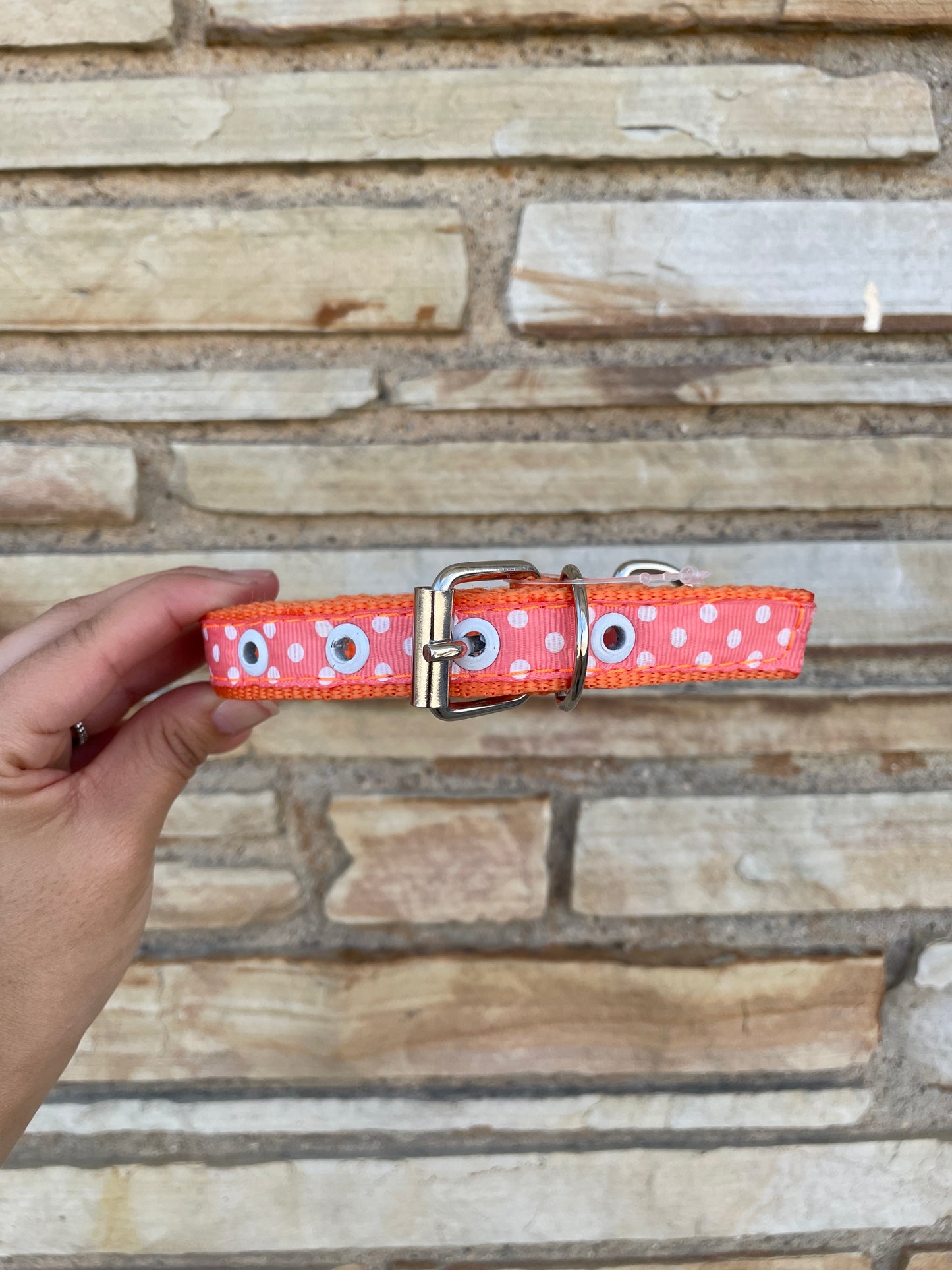 NYLON SMALL DOG COLLARS