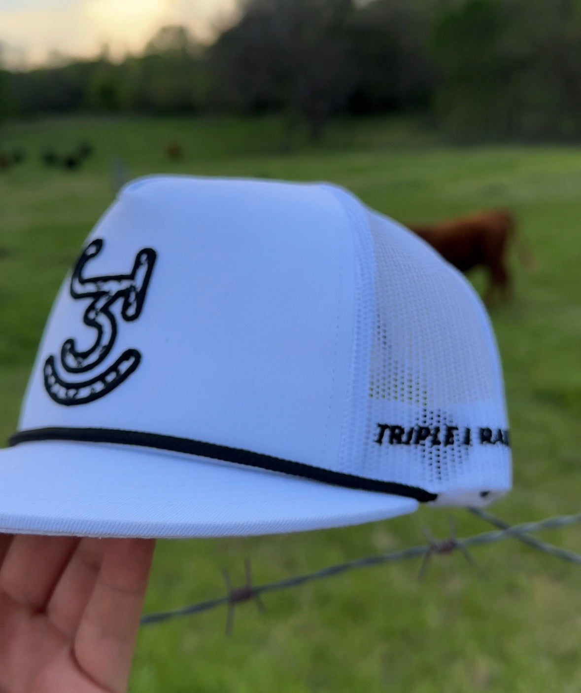 Triple J Ranch White