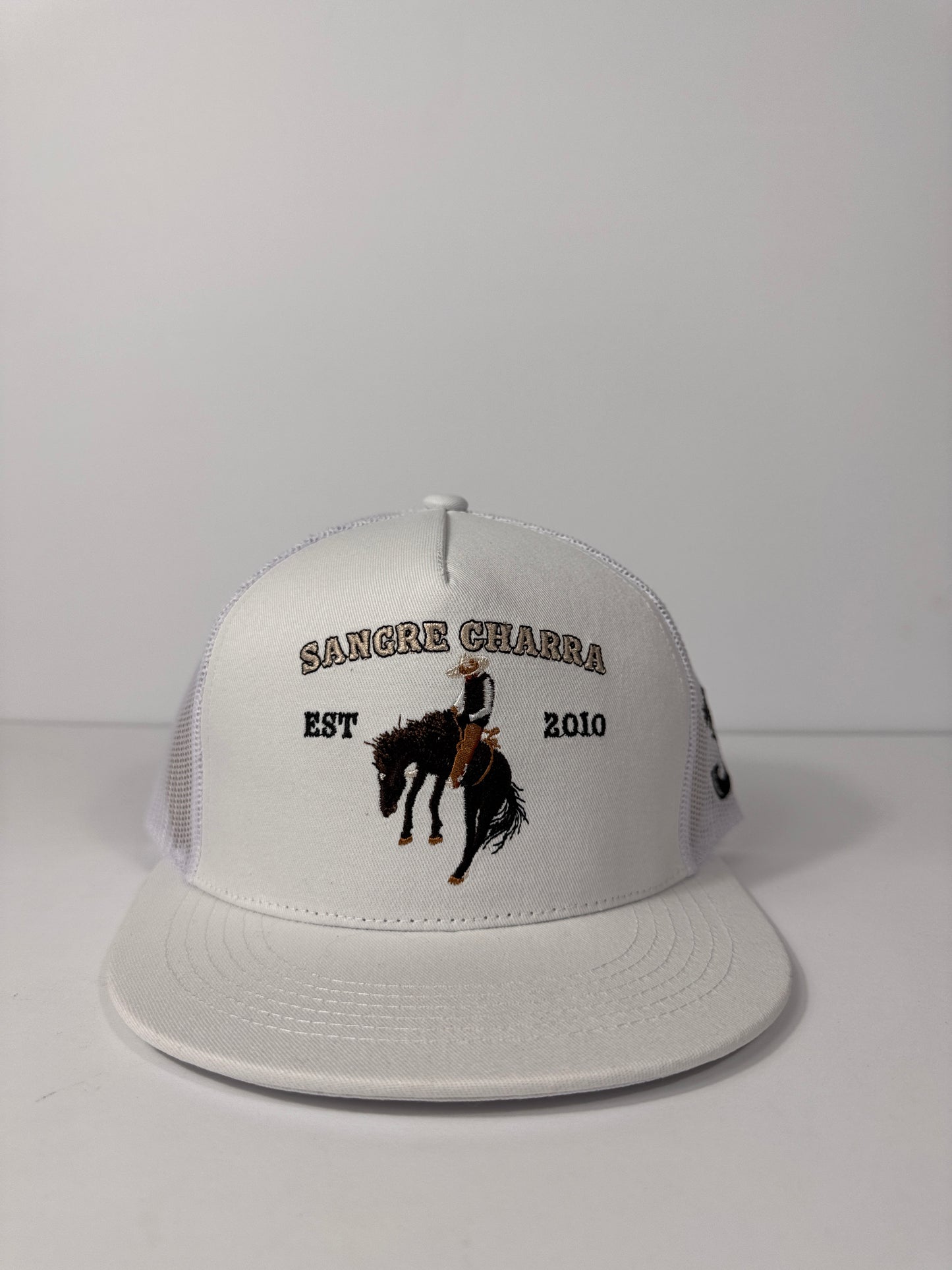 Monta de Yegua Sangre Charra Cap