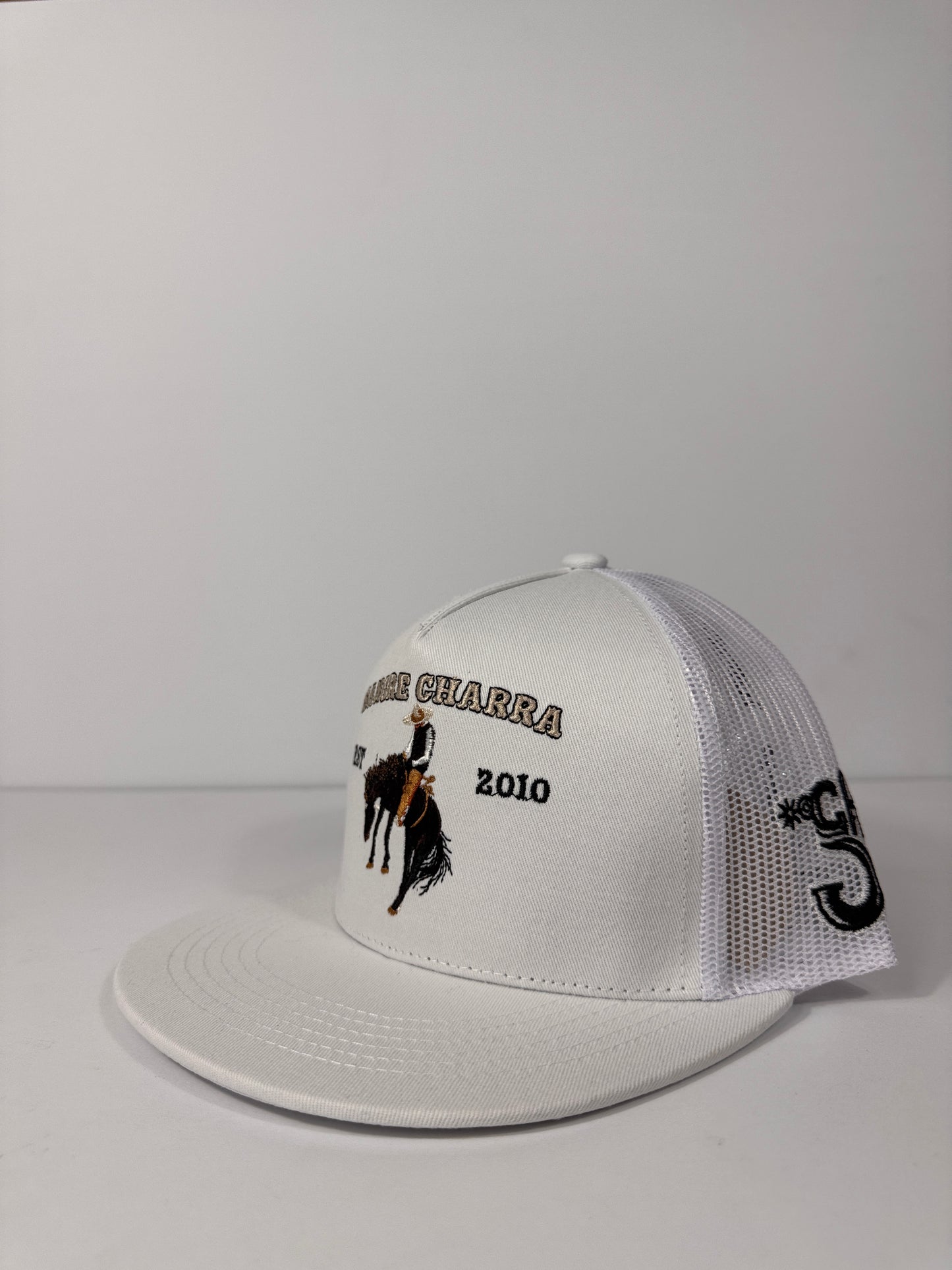 Monta de Yegua Sangre Charra Cap