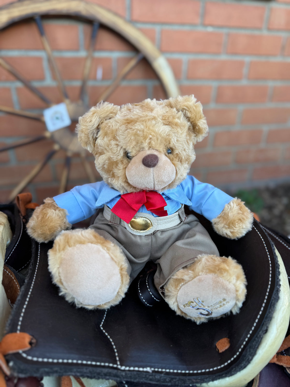 Osito Charro / Charro Teddy Bear